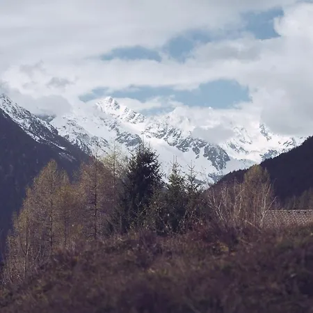 Padaster 1262 * Trins