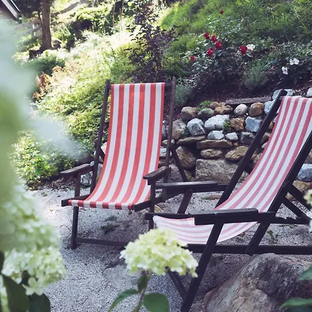 Padaster 1262 * Trins