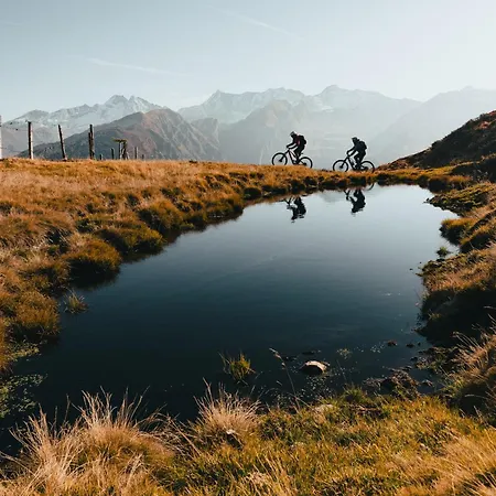 Padaster 1262 Apartamento Trins