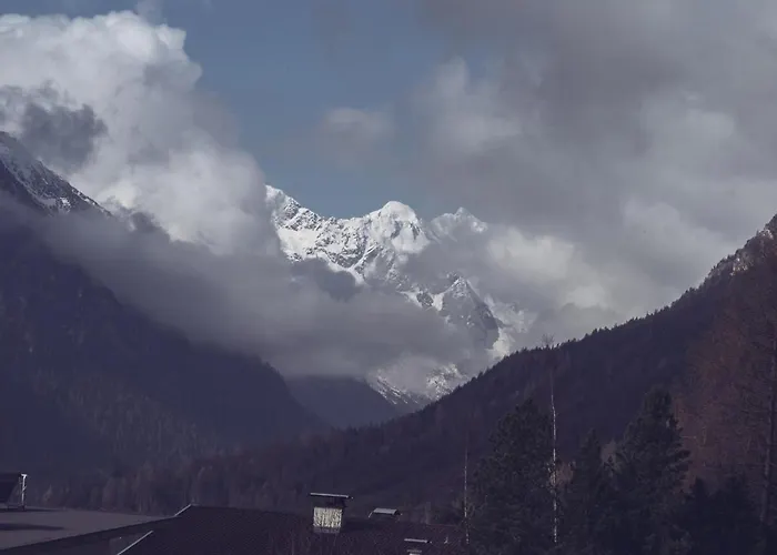 Padaster 1262 公寓 *