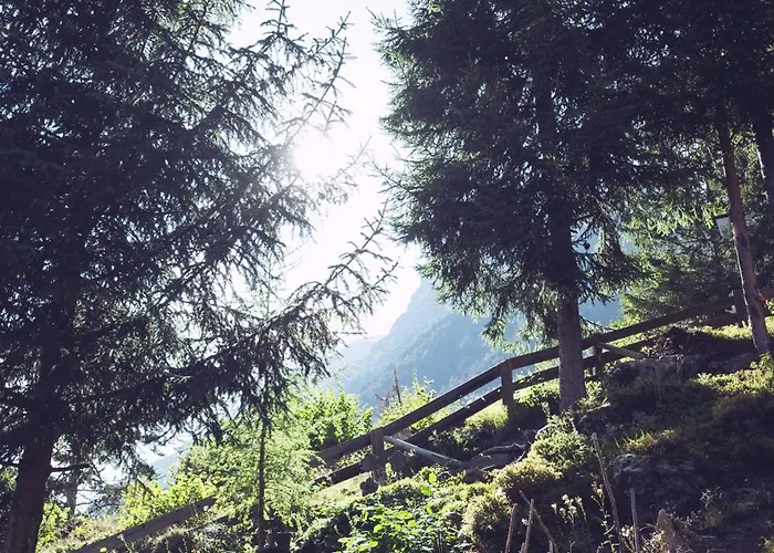 Padaster 1262 * 堤林斯