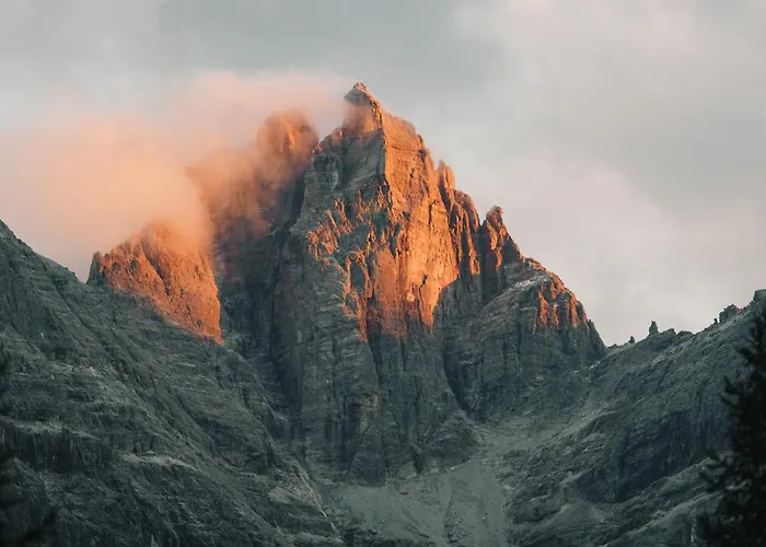 Padaster 1262 堤林斯