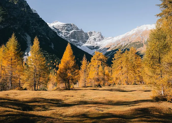 Padaster 1262 公寓 *