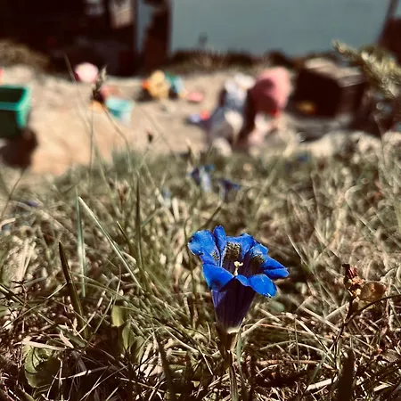 Padaster 1262 Appartamento