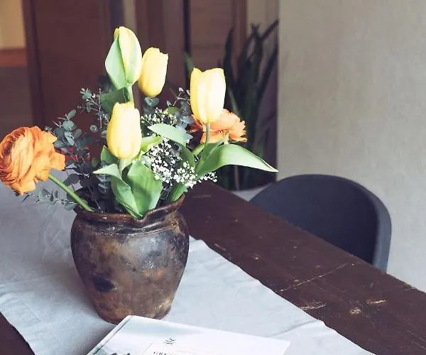 Appartamento Padaster 1262 *