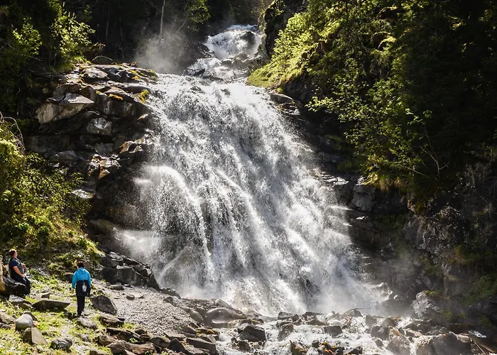 Padaster 1262 * Trins