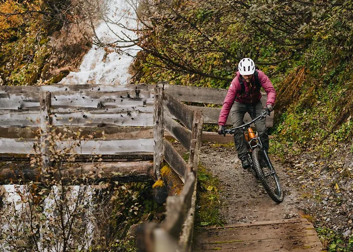 Padaster 1262 * Trins